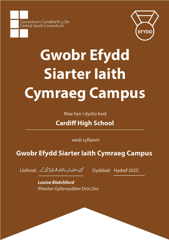 Bronze Award Siarter Iaith
